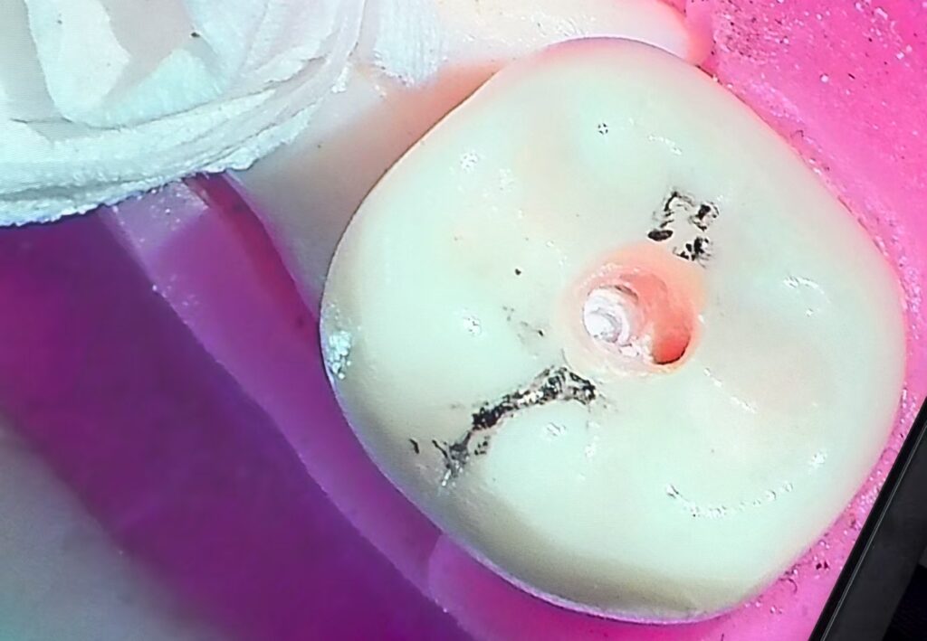 14470372701a9f8816594b4778f4bd3c